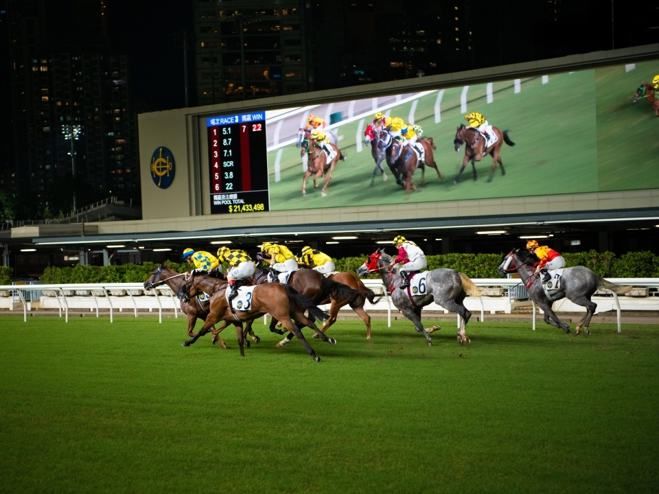 Horses race at the Happy Valley Racecourse on Happy Wednesday nights.