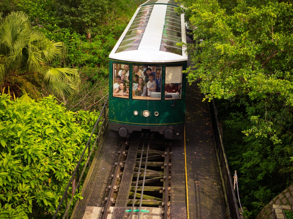 Tourists ride the Peak Tram from Central to The Peak