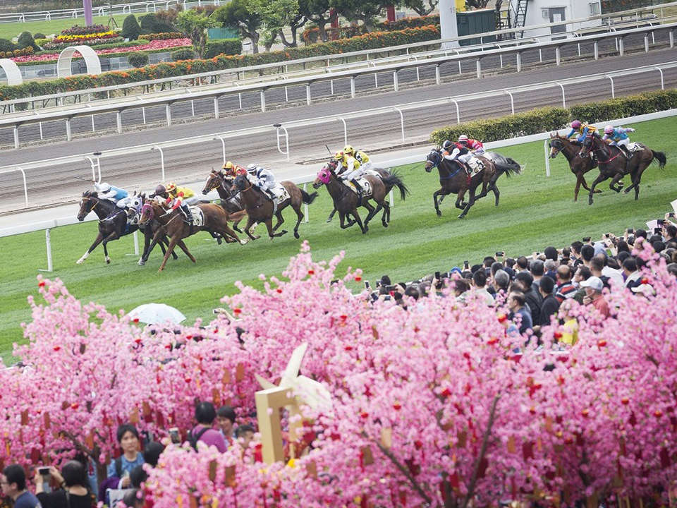 Horses race at Sha Tin Racecourse.