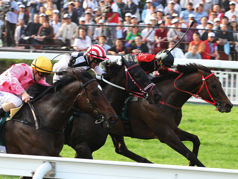 Horses racing under a blue sky at Sha Tin Racecourse.