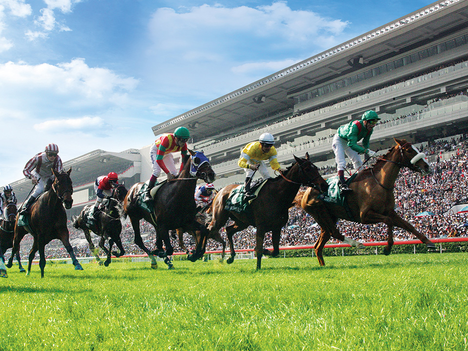 Jockeys on horses at Sha Tin Racecourse.