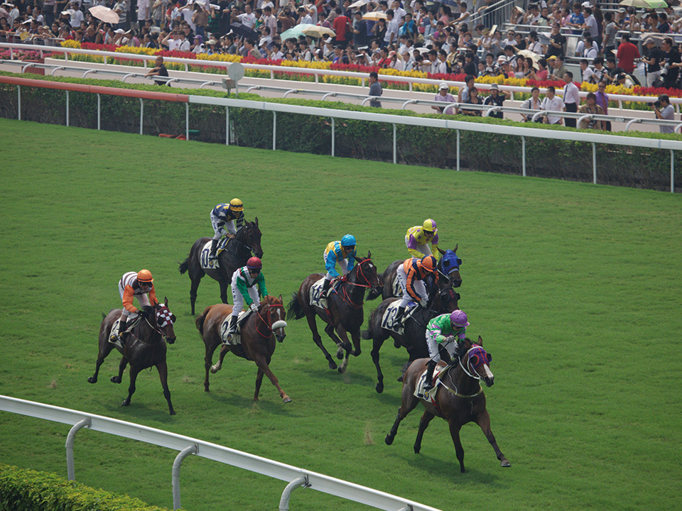 Crowds watching the horseracing at Sha Tin Racecourse.