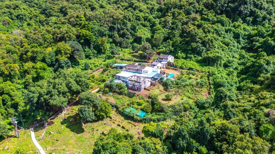 Lush green trees and grass surrounding a building on the Hing Chun Alliance Heritage Trail