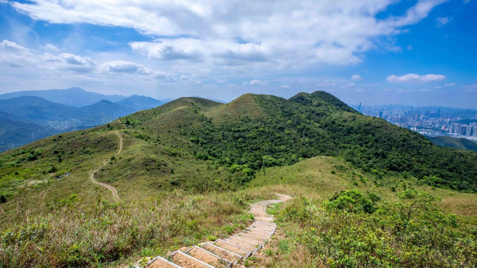 Steps leading to a mountain view and blue skies of Robin’s Nest Country Park