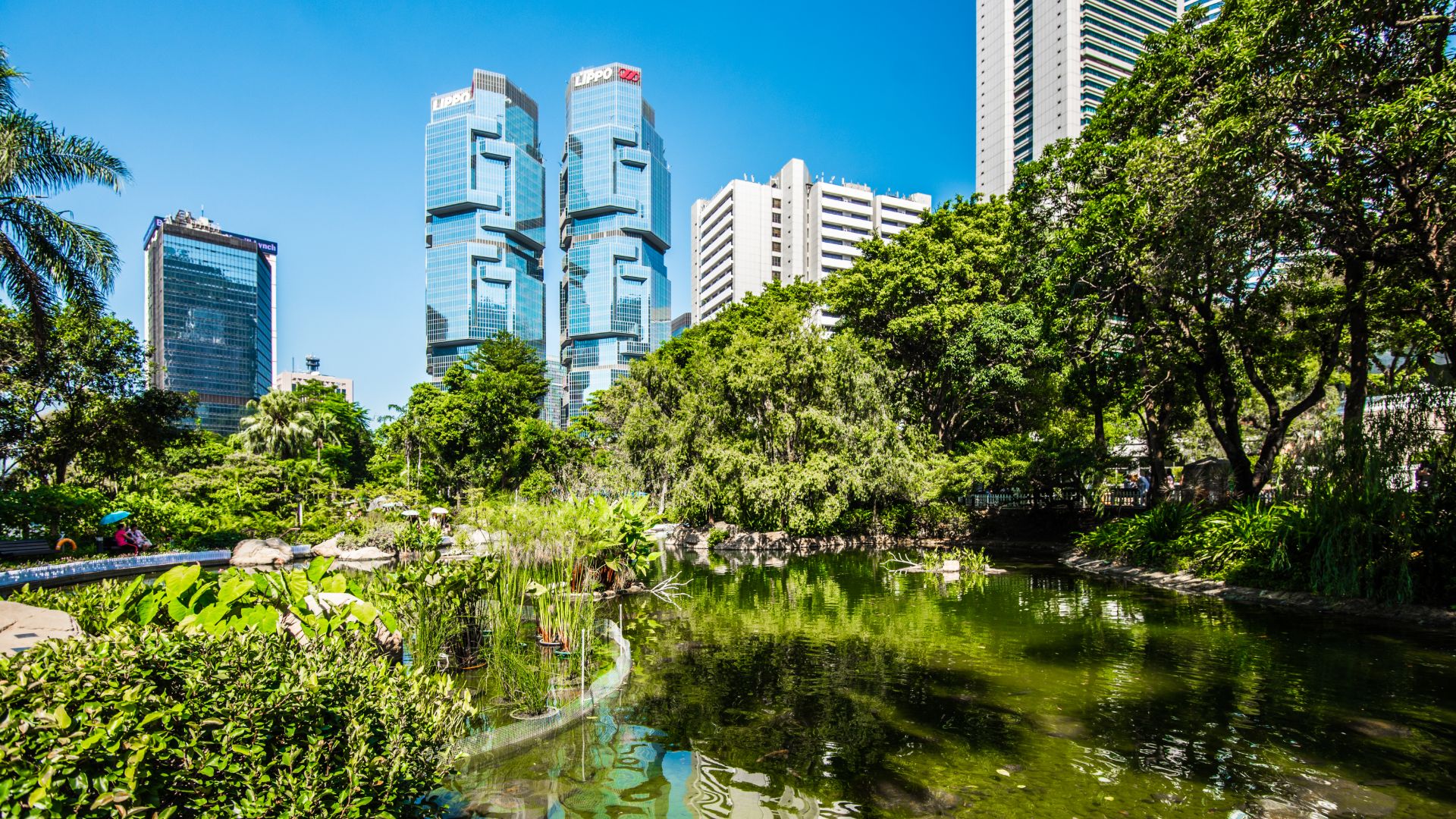 Exploring Hong Kong's Parks and Gardens: Green Spaces for Family Recreation